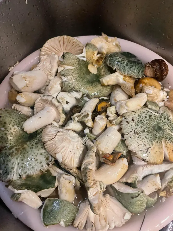 青椒炒青头菌 第 1 步