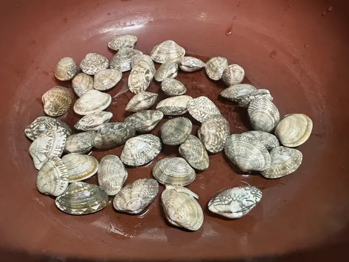 鹅蛋菌花蛤炒丝瓜 第 4 步