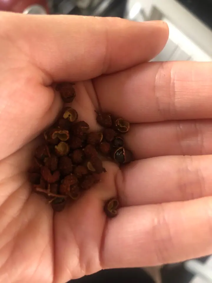 小炒黄牛肉 第 6 步