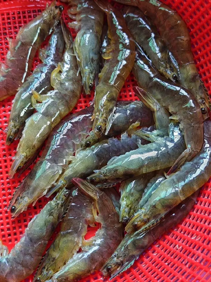 香辣虾蟹煲 第 4 步