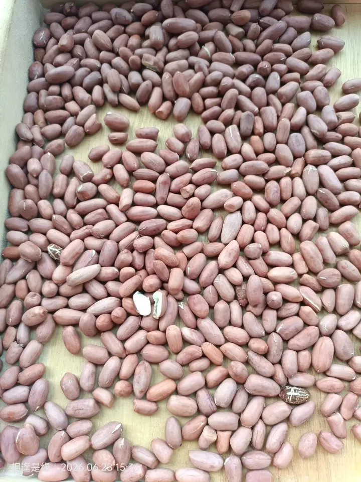 花生芝麻紫苏酱 第 6 步