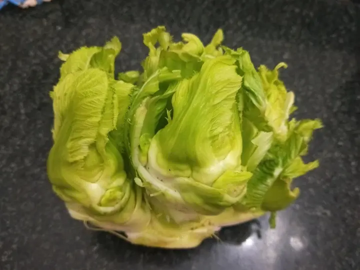 青椒炒肉片与孩儿菜烧腐竹 第 3 步
