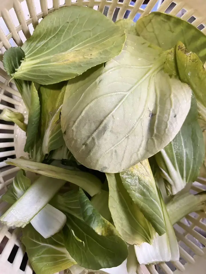 炝炒小白菜 第 1 步