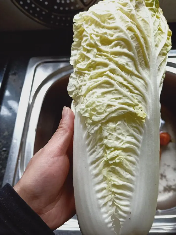 酸辣炒白菜 第 1 步
