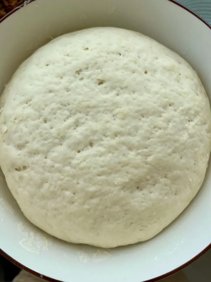 鸡丁猪肉香菇干子包子 第 9 步