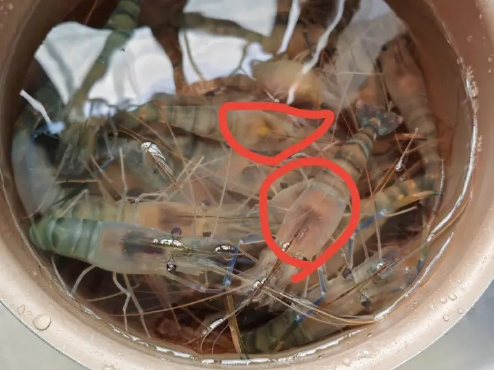 大虾炒年糕 第 3 步