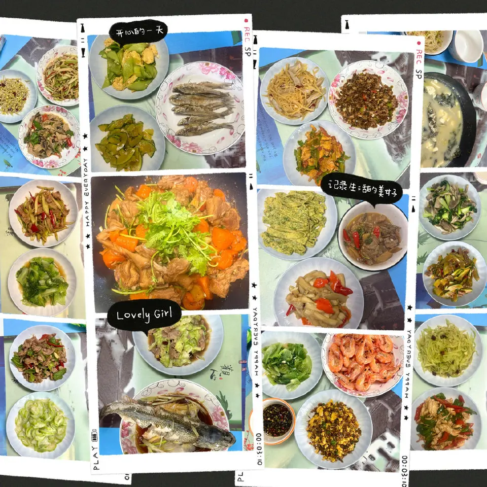 家常菜合集成品图