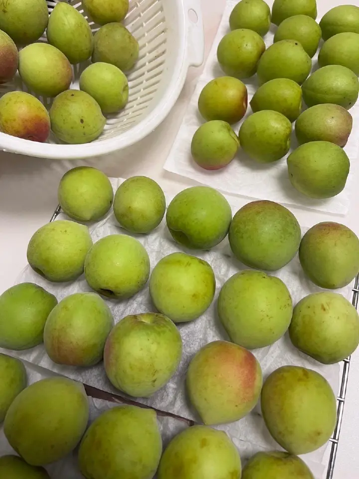 电饭锅版青梅露 第 1 步