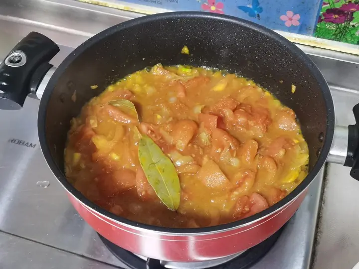 番茄红烩咖喱鸡 第 15 步