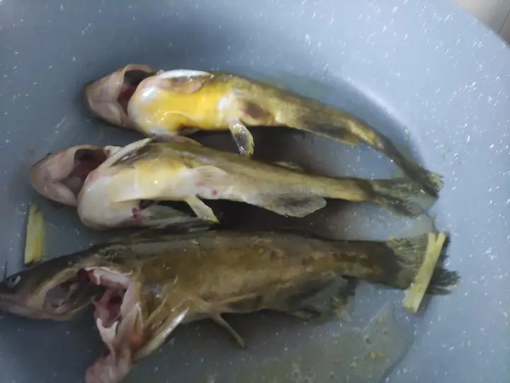 红烧黄骨鱼 第 3 步