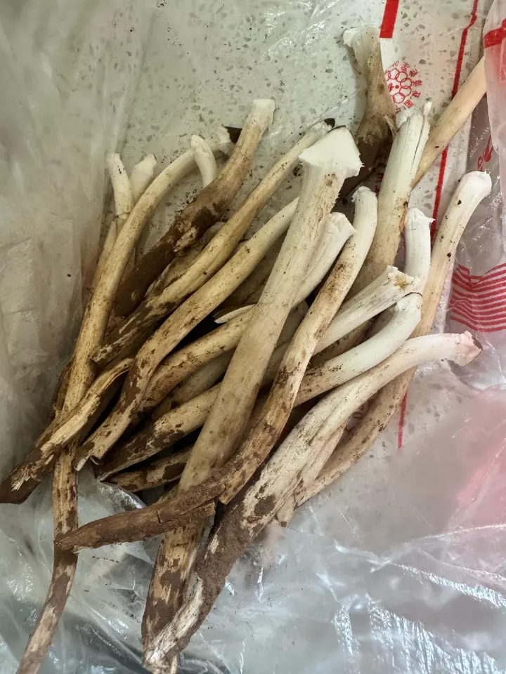 火腿鸡枞菌蒸汤 第 2 步
