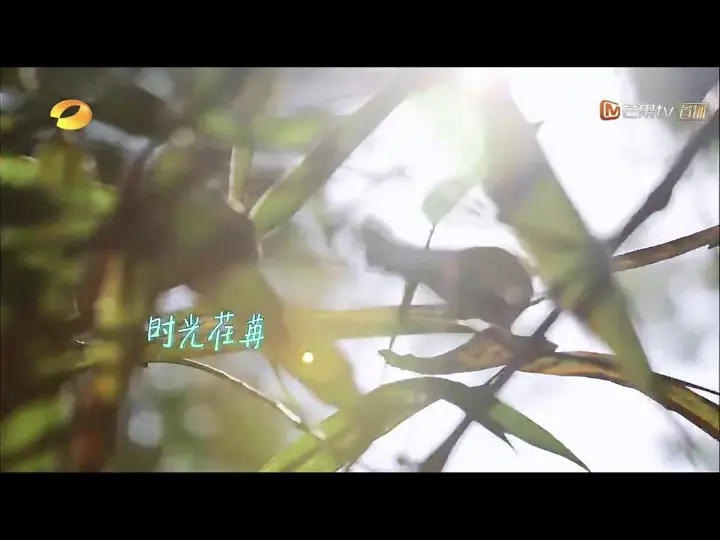 白灼菜心 第 1 步