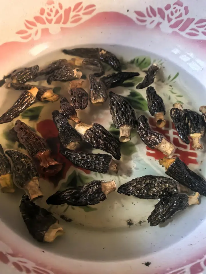 羊肚菌虾滑酿肉 第 2 步