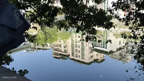 洋葱芹菜炒五花肉