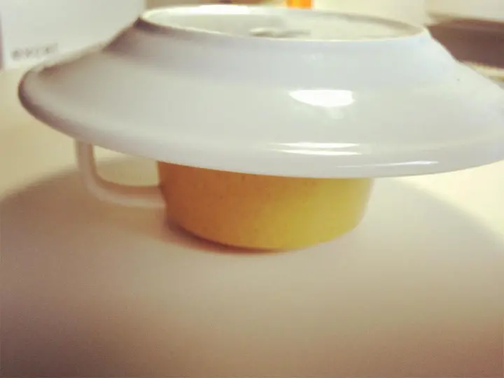 微波炉柠檬酸奶小蛋糕 第 9 步