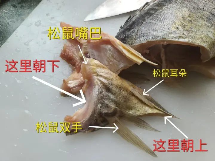 松鼠桂鱼 第 3 步