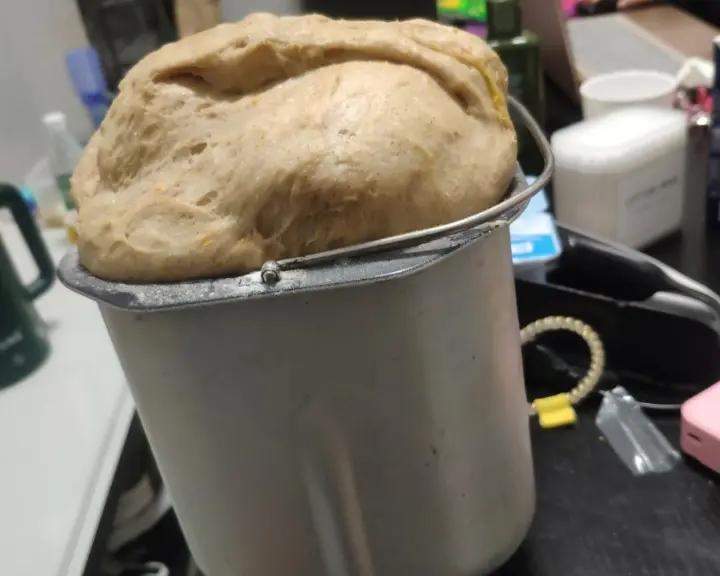面包机全麦吐司 第 2 步