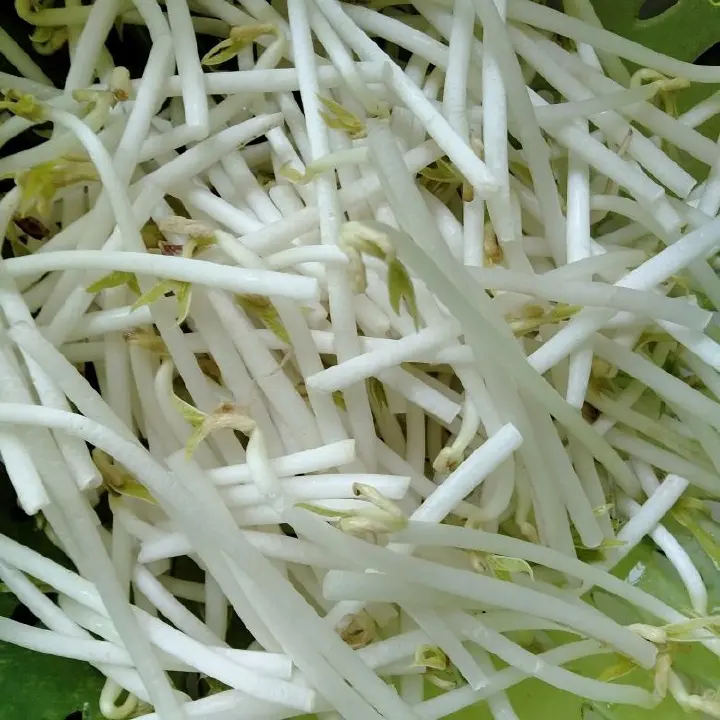 韭菜豆芽粉丝炒鸡蛋 第 3 步