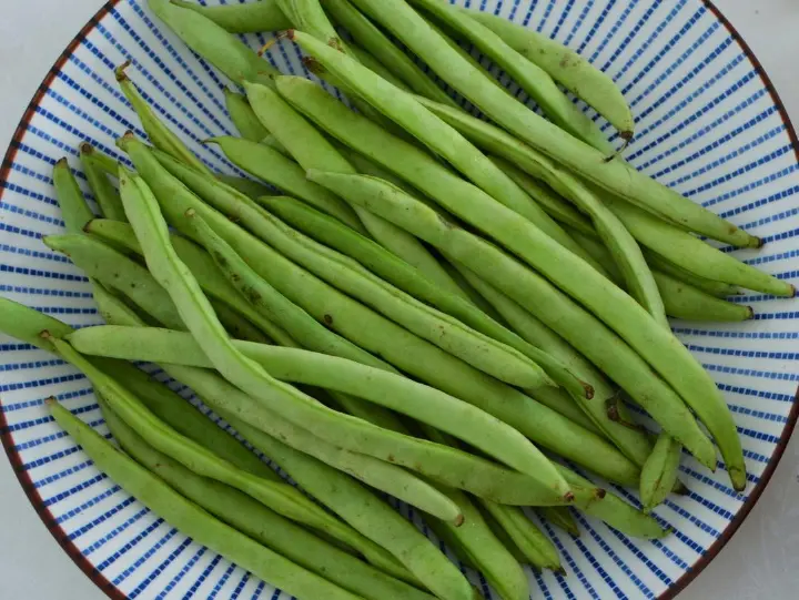 家常小炒四季豆 第 1 步
