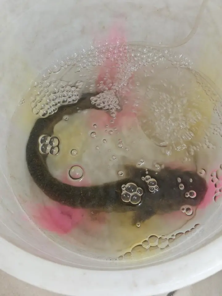 家常酸菜鱼 第 1 步