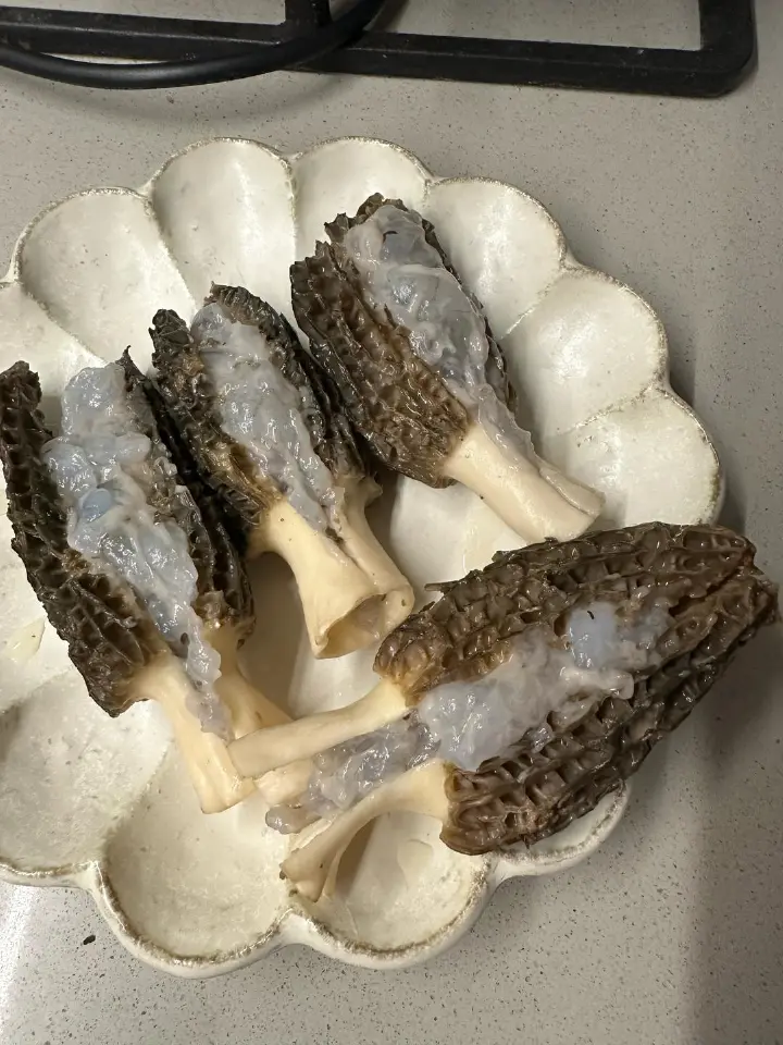 羊肚菌虾滑炖蛋 第 6 步