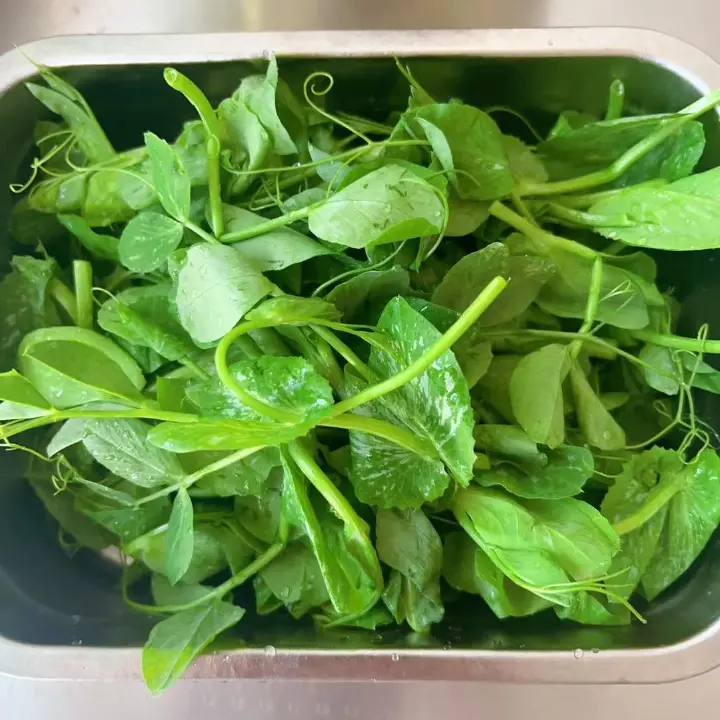 羊肚菌山药素鲜汤 第 2 步