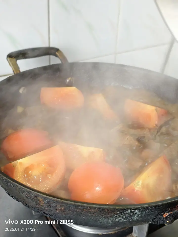 西红柿炖牛肉 第 9 步
