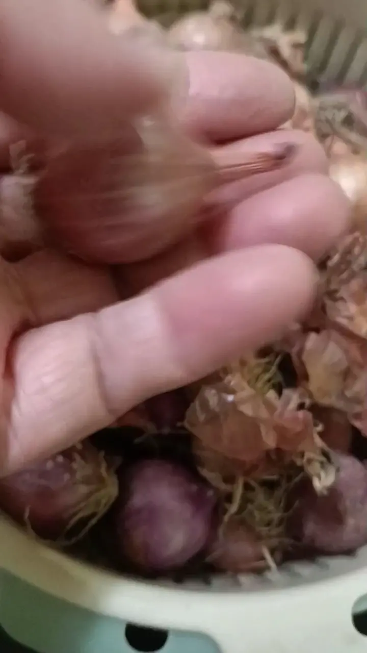 自制红葱油 第 1 步