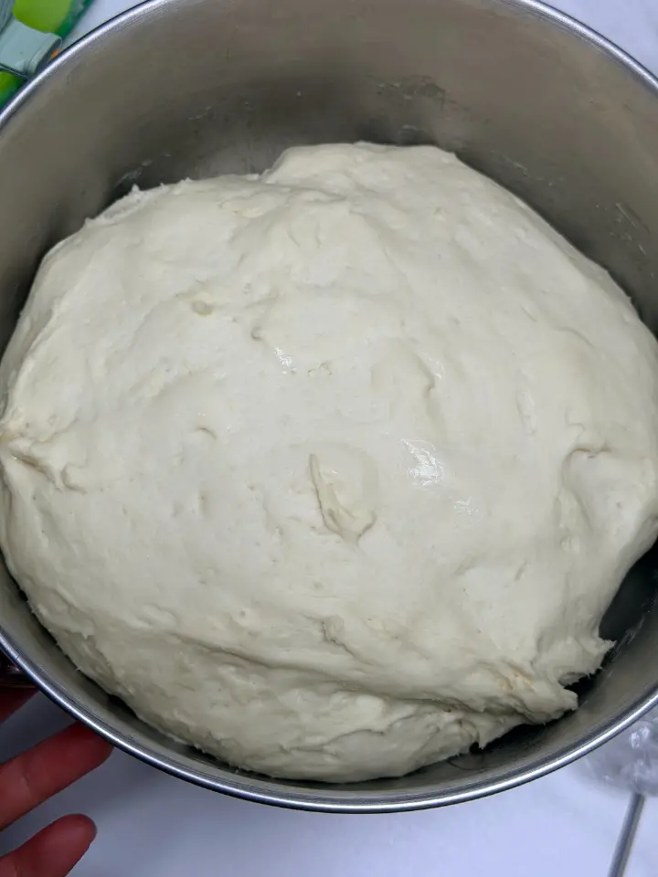 快手白馒头 第 2 步
