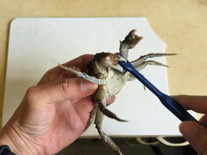 浓香六月黄大闸蟹 第 1 步