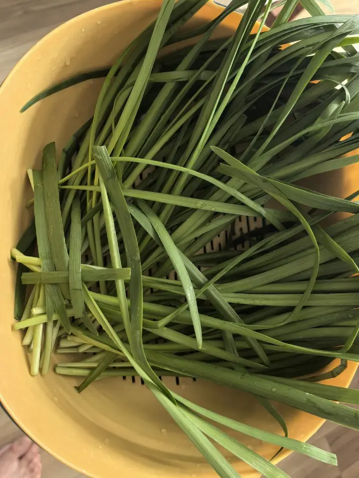 韭菜猪肉饺子 第 3 步