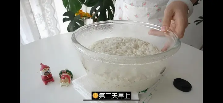 免揉全麦乡村面包 第 6 步