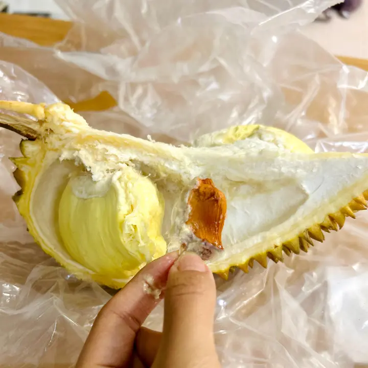 隔夜发酵恰巴塔 第 10 步