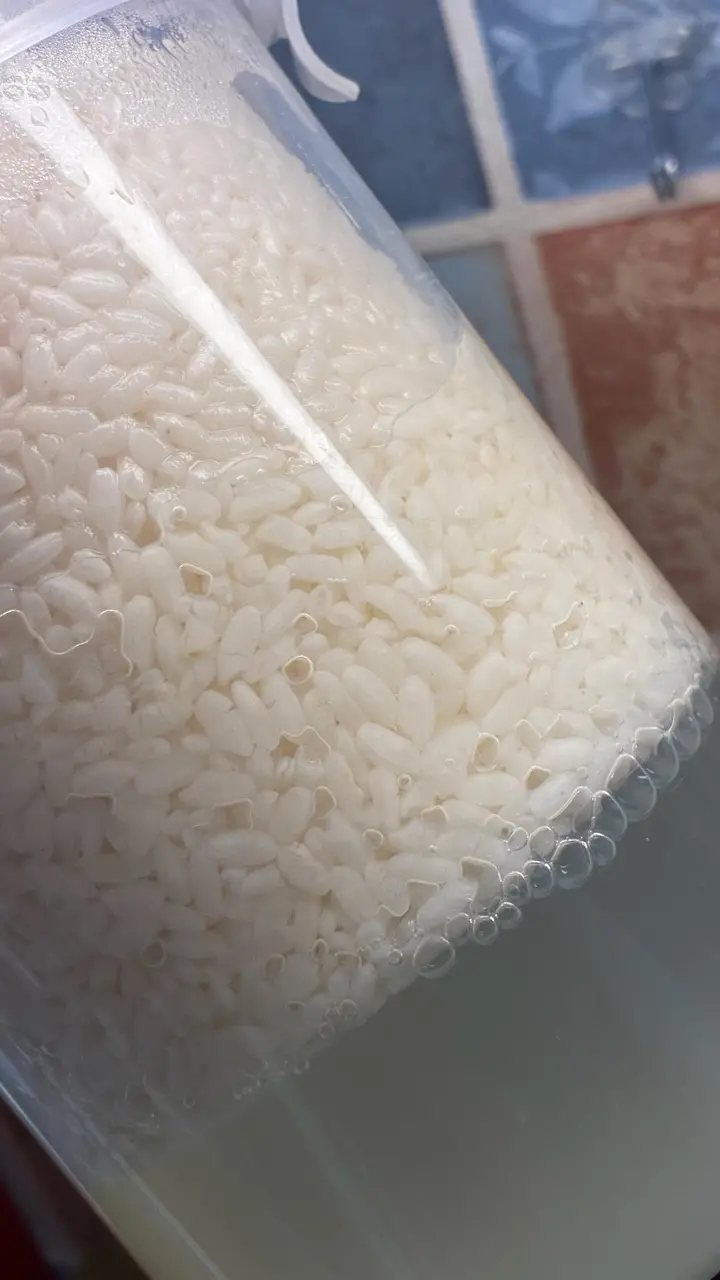 酒酿馒头 第 3 步