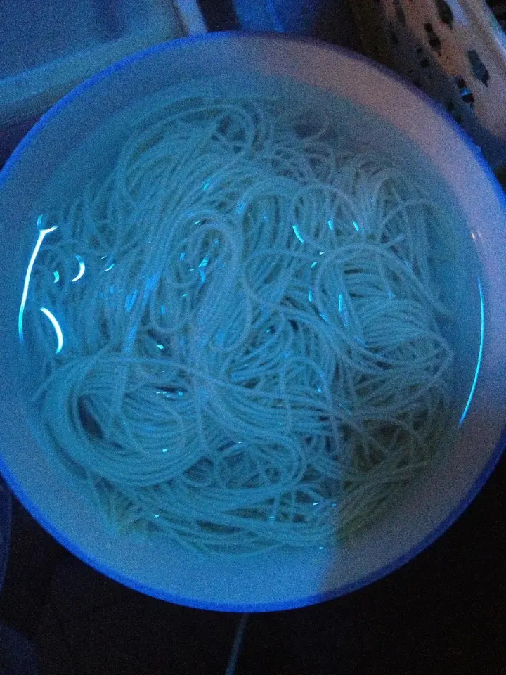 西红柿鸡蛋炒面 第 4 步