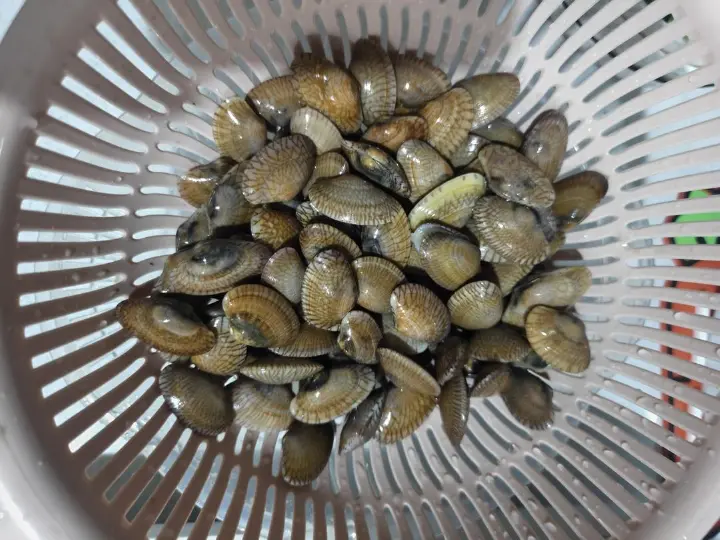 爆炒花甲 第 2 步