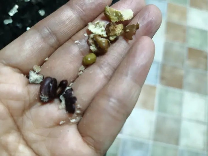 杂粮蒸糕 第 5 步