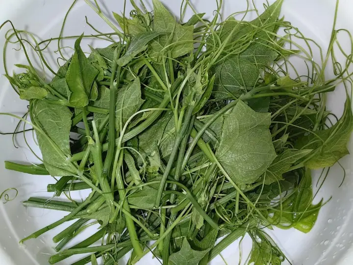 清炒丝瓜尖 第 2 步