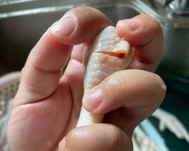 红烧鸡爪 第 1 步